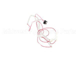 105000039 Rinnai Thermal Fuse Harness Assy