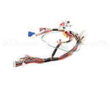 105000103 Rinnai Sensor Harness, Rc98Hpi