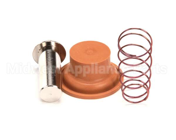 1057.00009.00 Fetco Valve Rebuild Kit, Dsv10