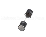 1060860 Prince Castle Fuse 2A 250V (Ea)
