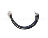 1062425SP Frymaster Wire Assembly Cntr Box R Ele Fpp