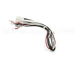1063316SP Frymaster Harness Assembly,Fpph350 Transformer/Flt