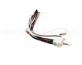 1063316SP Frymaster Harness Assembly,Fpph350 Transformer/Flt