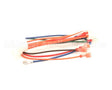 1065750SP Frymaster Harness Assembly, Re Fv Controls