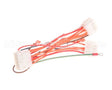 1065751SP Frymaster Harness Assembly, Re Dv Controls