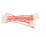 1065751SP Frymaster Harness Assembly, Re Dv Controls