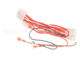 1065751SP Frymaster Harness Assembly, Re Dv Controls