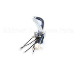 1066036SP Frymaster Harness Assembly, Re Rh Element