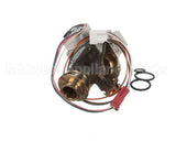 107000279 Rinnai Hot Water Servo Valve Assy.