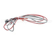 1080656 Frymaster Ais Rtd Probe And Harness Pos1