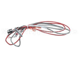 1080656 Frymaster Ais Rtd Probe And Harness Pos1