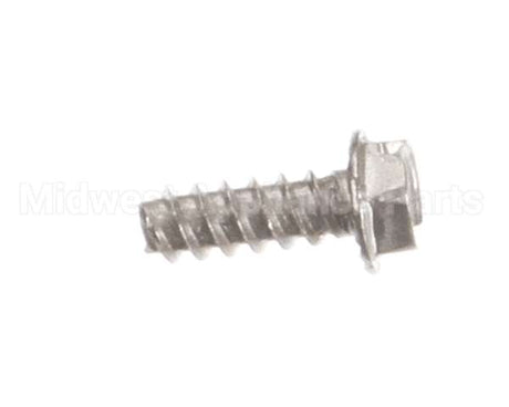 1081 Cornelius Screw Tt 08-16 16 Ss
