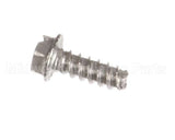 1081 Cornelius Screw Tt 08-16 16 Ss