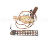 1082871 International Comfort Products 2.5 Ton Expansion Valve