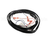 1086017 Frymaster Harness Assy, Cobra Blower