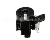 108662 Nespresso Thermobl.230 120V1100W