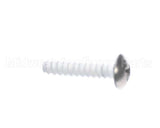 109000650 Rinnai Screw