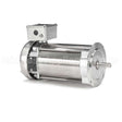 109083 Leeson Motor