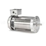 109083 Leeson Motor
