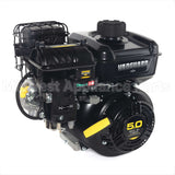 10V352-0029-F1 Briggs & Stratton Eng10V352Fcy0001