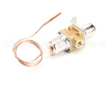 11-0608-21 Scotsman Valve Water Reg Wvo10