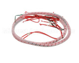 110120333 Doughpro Proluxe Wire Harness Single Gas Box Le