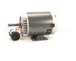 11029.1005 Bunn Motor,120V External Cpctr