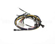 110560051 Doughpro Proluxe Harness Wire Dp1100 Ms234