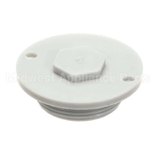 110755 Compatible Champion Drainplug, Ng