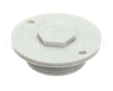 110755 Champion - Moyer Diebel Drain Plug,Ng