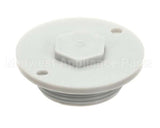 110755 Champion - Moyer Diebel Drain Plug,Ng