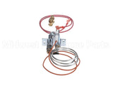 110854 Reznor Pilot Assy, Spark Ign, Lp Gas
