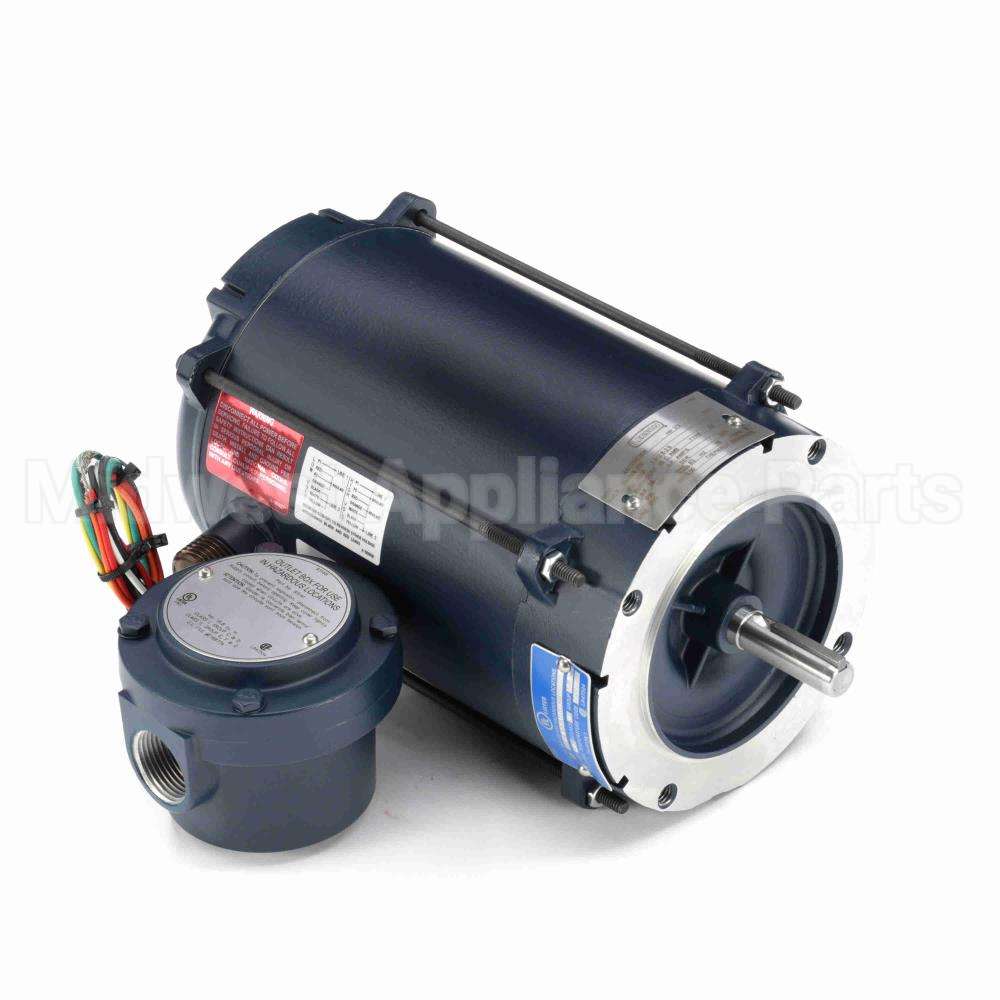 111075 Leeson Motor