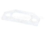 111791 Pvi Ignitor Gasket