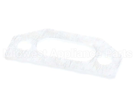 111791 Pvi Ignitor Gasket