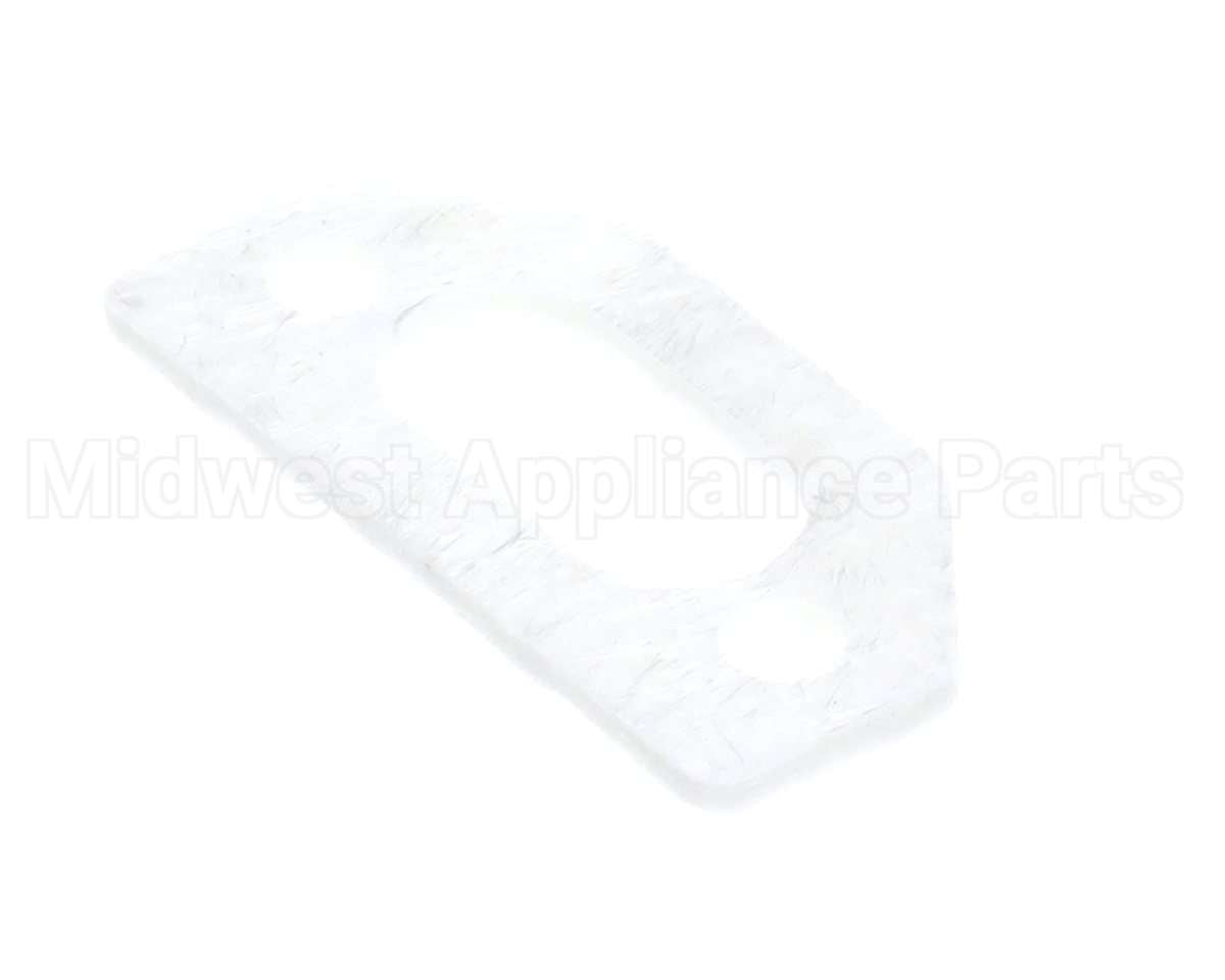 111791 Pvi Ignitor Gasket