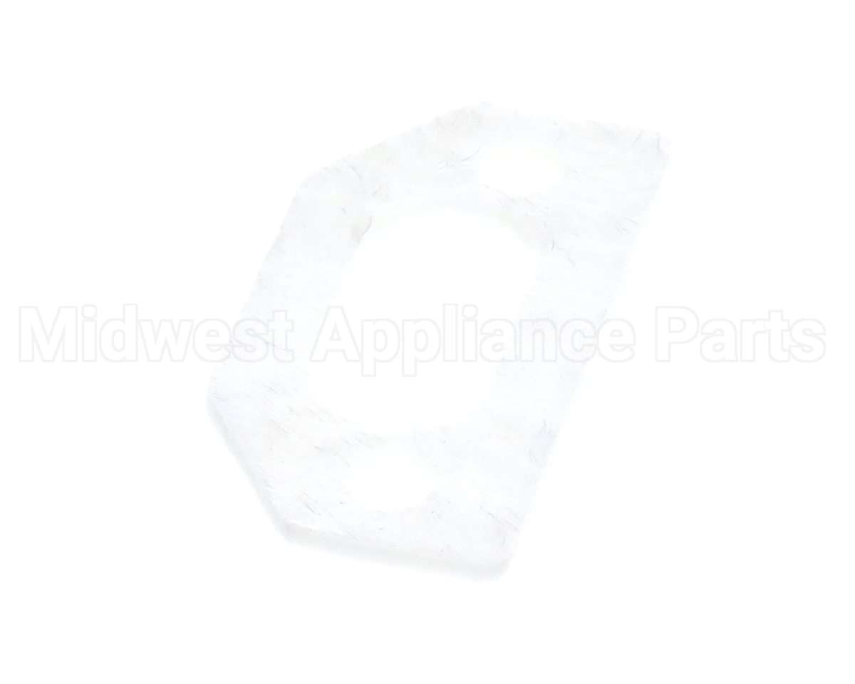 111791 Pvi Ignitor Gasket