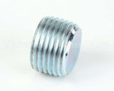 11227 Insinkerator Plug, Pipe