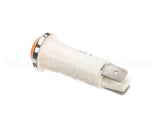 112391 Champion - Moyer Diebel Light, Amber Neon, 125V