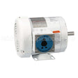112428 Leeson Motor