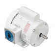 112431 Leeson Motor