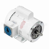 112528 Leeson Motor