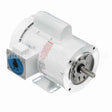 112529 Leeson Motor