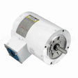 113019 Leeson Motor