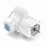 113300 Leeson Motor