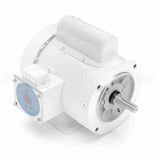 113581 Leeson Motor