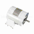 113649 Leeson Motor