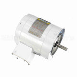 113649 Leeson Motor