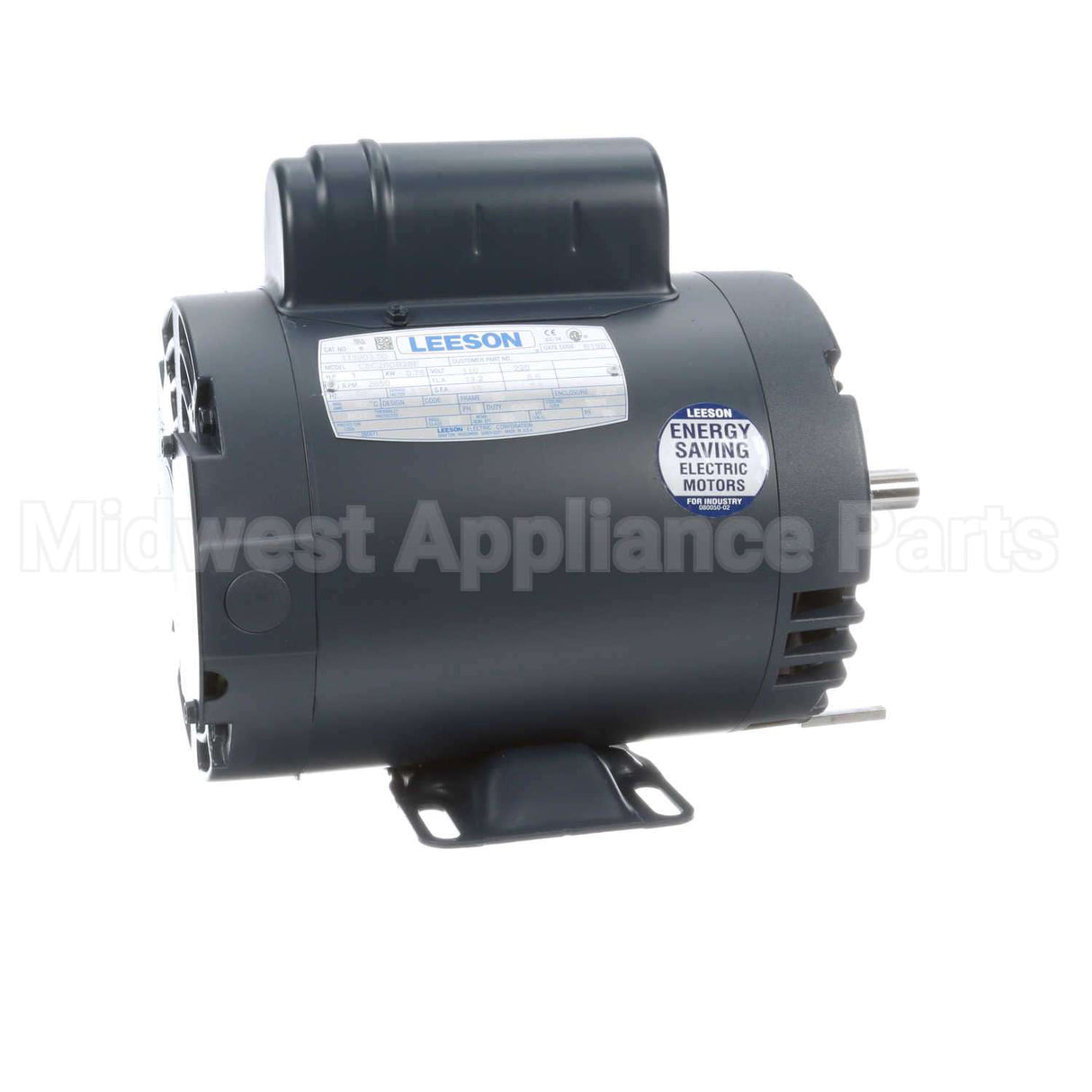 113903 Leeson Motor