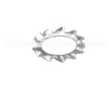 114143 Champion - Moyer Diebel Lock Washer ,Fir Pump Part